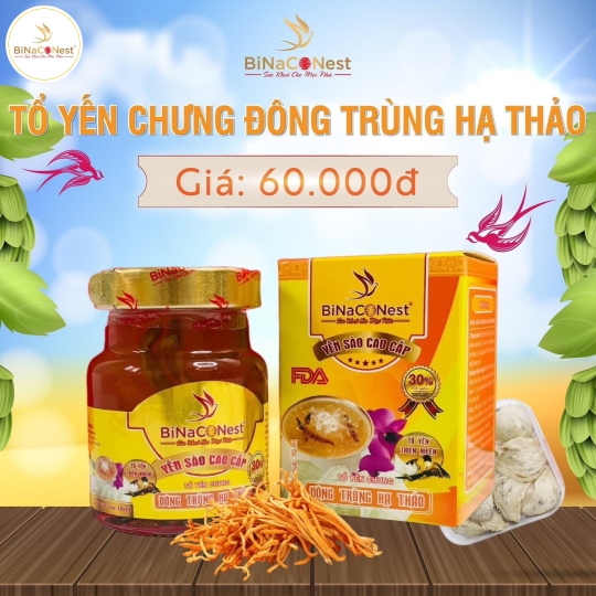 TỔ YẾN CHƯNG ĐÔNG TRÙNG HẠ THẢO